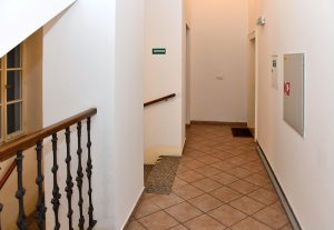 Václavské náměstí 1282/51, Praha 1